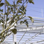 metal structure