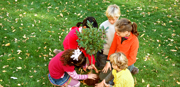 Corporate Social Responsibility
