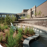 Do Healing Gardens Really Heal? And other insights about the power of hospital design